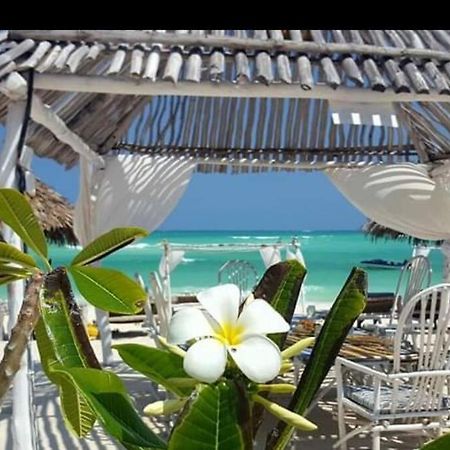 Luxury Simba House In Watamu ☆☆☆☆☆ Apartment Luaran gambar