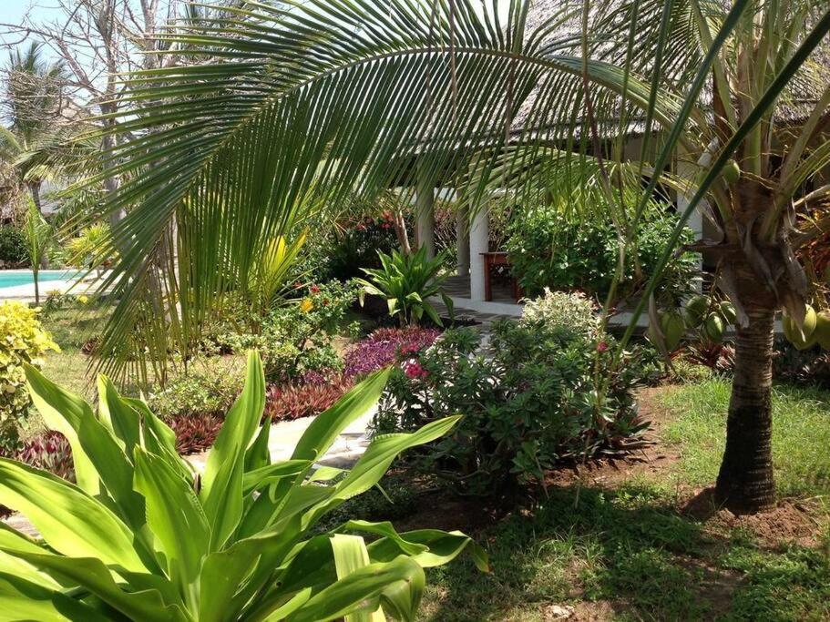 Luxury Simba House In Watamu ☆☆☆☆☆ Apartment Luaran gambar